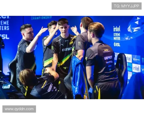 V5在Major赛中的强势表现分析与战术解读